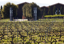 Terras Gauda en Rioja